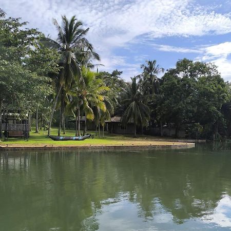 Yonan River Face Safari Resort Udawalawe Buitenkant foto