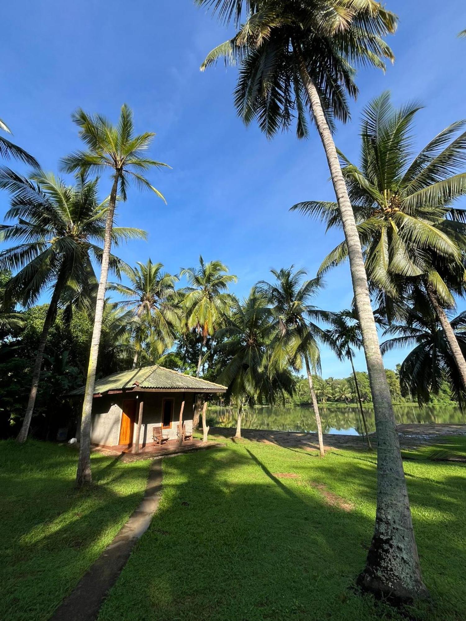 Yonan River Face Safari Resort Udawalawe Buitenkant foto